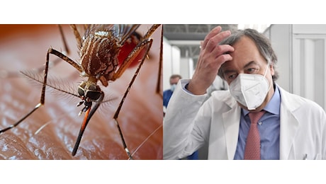 Procurato allarme di Burioni sulla malaria in Veneto e la smentita delle autorità sanitarie