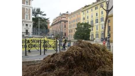 Letame scaricato davanti al Viminale, blitz degli attivisti per il clima a Roma