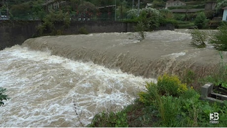 Cronaca meteo diretta - Maltempo, il torrente Cerusa in piena: forti raffiche di vento - Video