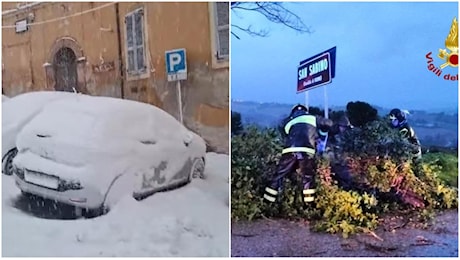 Allerta meteo nelle Marche, raffiche di vento e alberi caduti. Tormenta di neve sui Sibillini