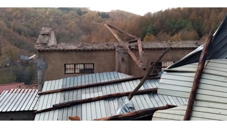 Vento a raffica in Calabria, il bilancio di Coldiretti: “Caduti alberi, lamiere, ponteggi, tettoie di stalle, fienili e case rurali”