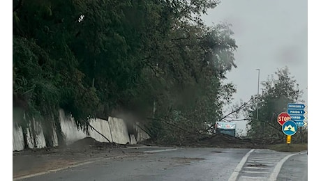 Lamezia, allagamenti in tutto il comprensorio: chiusa strada Tirrenica, difficoltà di accesso ad aeroporto e traffico in tilt