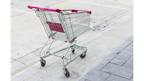 Inflazione in risalita e accelerazione carrello della spesa, i dati Istat di ottobre