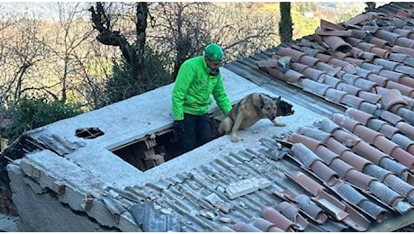 Casa esplosa a Eglio, in azione anche le unità cinofile per la ricerca della donna tra le macerie