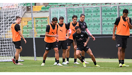 Coppa Italia, il Palermo si prepara in vista del Napoli di Conte: il report odierno