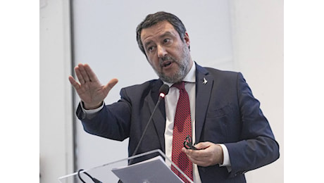 Salvini all'attacco: Ridiano i soldi. Ipotesi class action contro Tavares