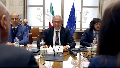 Stellantis, ecco le richieste del ministro Adolfo Urso al gruppo dell’auto sull’Italia