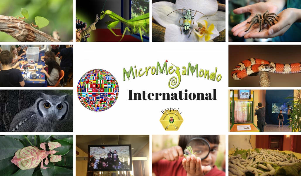 International MicroMegaMondo
