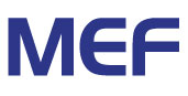 MEF annuncia i vincitori dei Service Provider Awards 2011